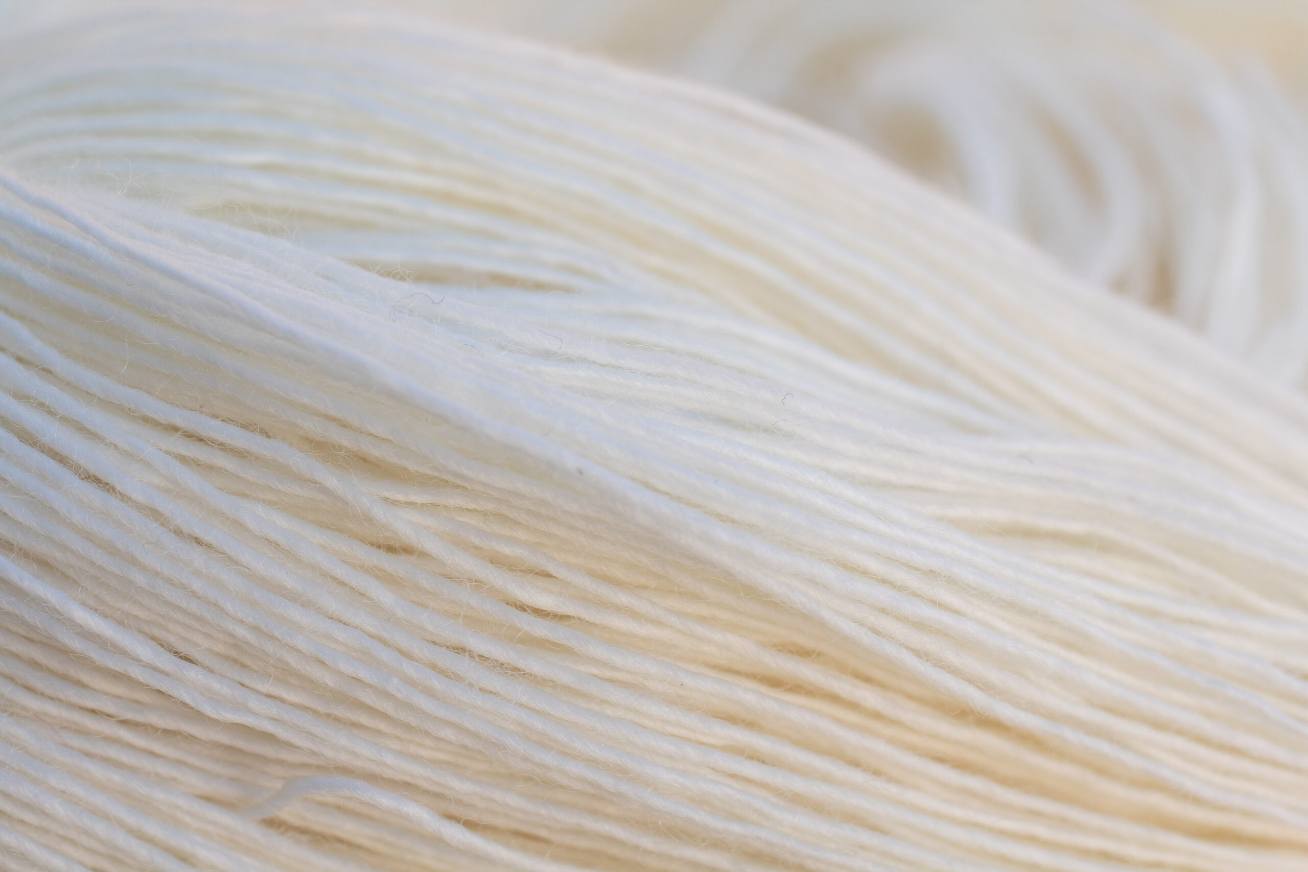 Sample Skein Pines - Fingering - Superwash Merino & Nylon - Image 2